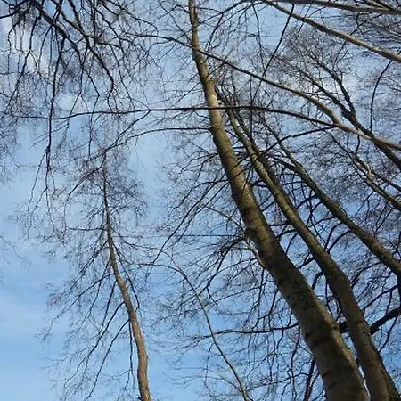 Nyaraló Chrztowski Zakatek Chrztowo
